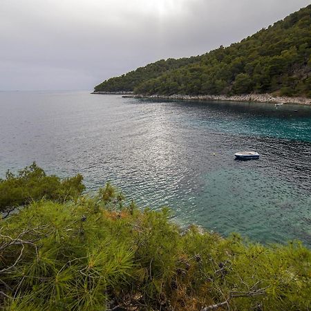 Secluded Fisherman'S Cottage Cove Skozanje, Hvar - 4009 Gdinj Екстер'єр фото